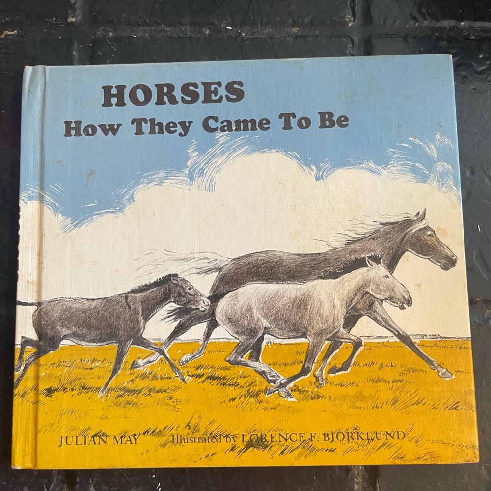 Horses: How They Came To Be Book